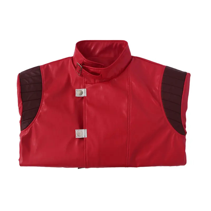 Chaqueta de cosplay de TYV55Ak - Embroidery Jacket reseña y precio