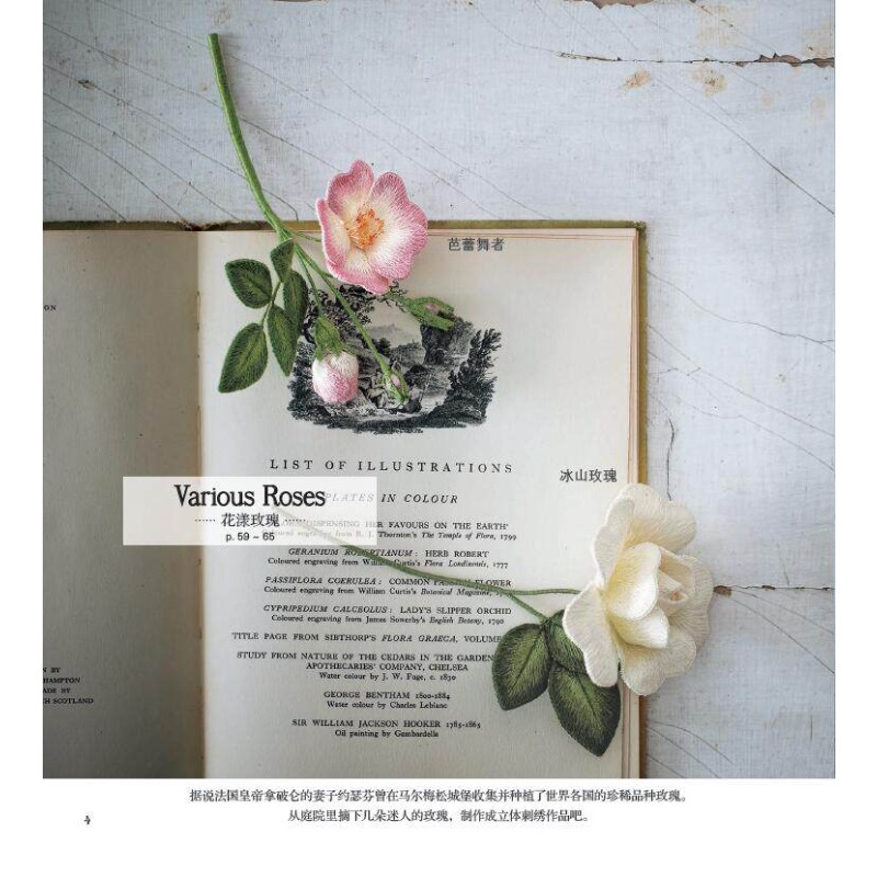 Libro de bordado 3D Stumpwork: - Embroidery Guide Book reseña y precio
