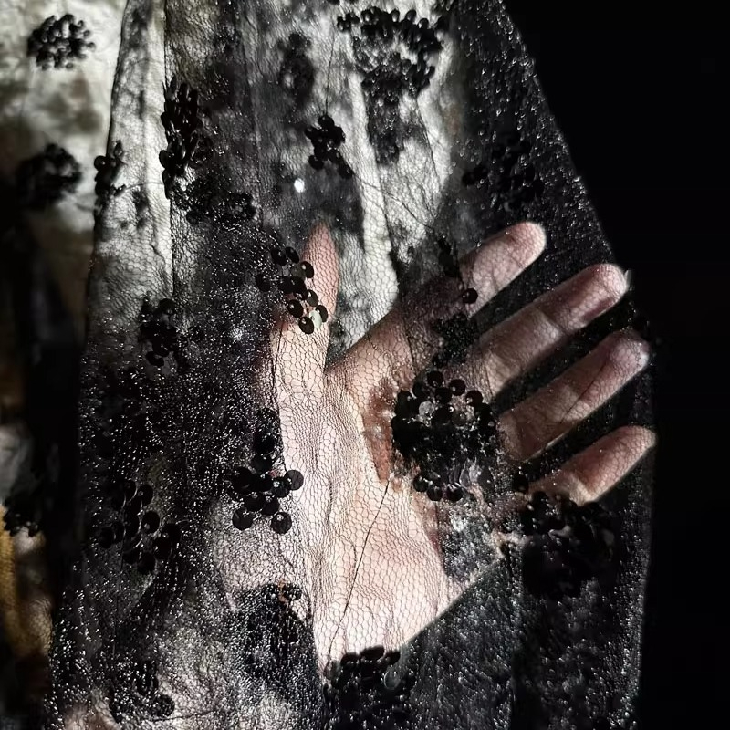 Tela de malla con lentejuelas  - Embroidery Net Dress reseña y precio