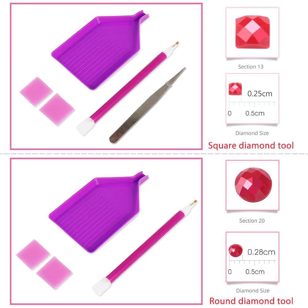 Evershine-pintura de diamante  - Embroidery Guide Book reseña y precio